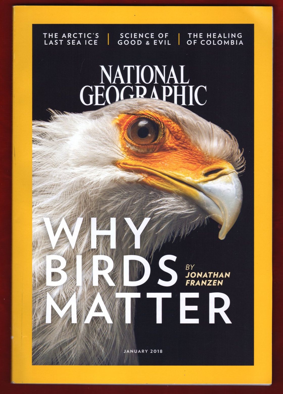 why-birds-matter